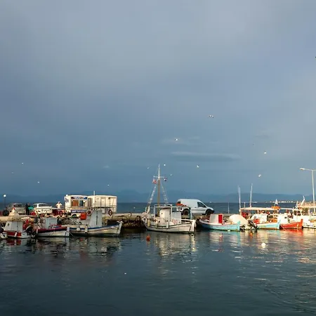 Kostamaria Vila *